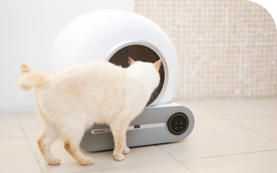 獣医師監修】 miruto 自動トイレ 猫 お留守番 日本ブランド スマホ管理