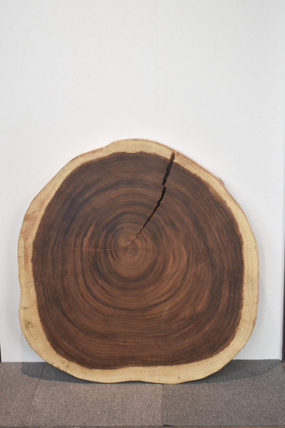 一枚板 切り株 ナチュラルウッド 特大43cm 樹齢約80年 ハンドメイドC