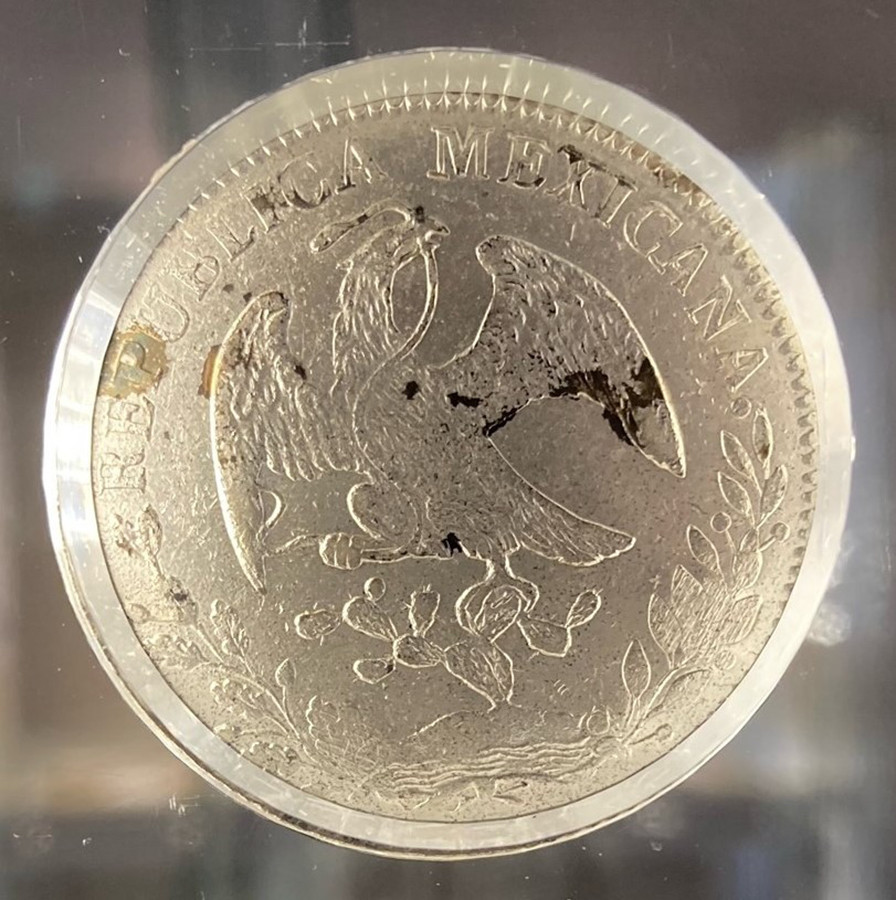 ミュージアム干支コレクションアワード2025 | アイエム