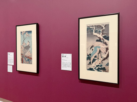 伊藤深水展 ─本画と素描─ | 展覧会 | アイエム［インターネット