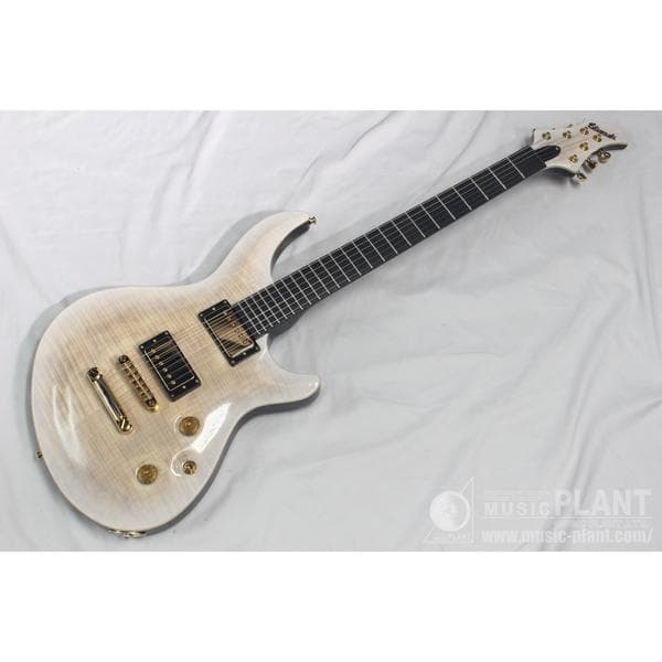 FERNANDES APGシリーズ エレキギターAPG-55S WRMS中古()売却済みです