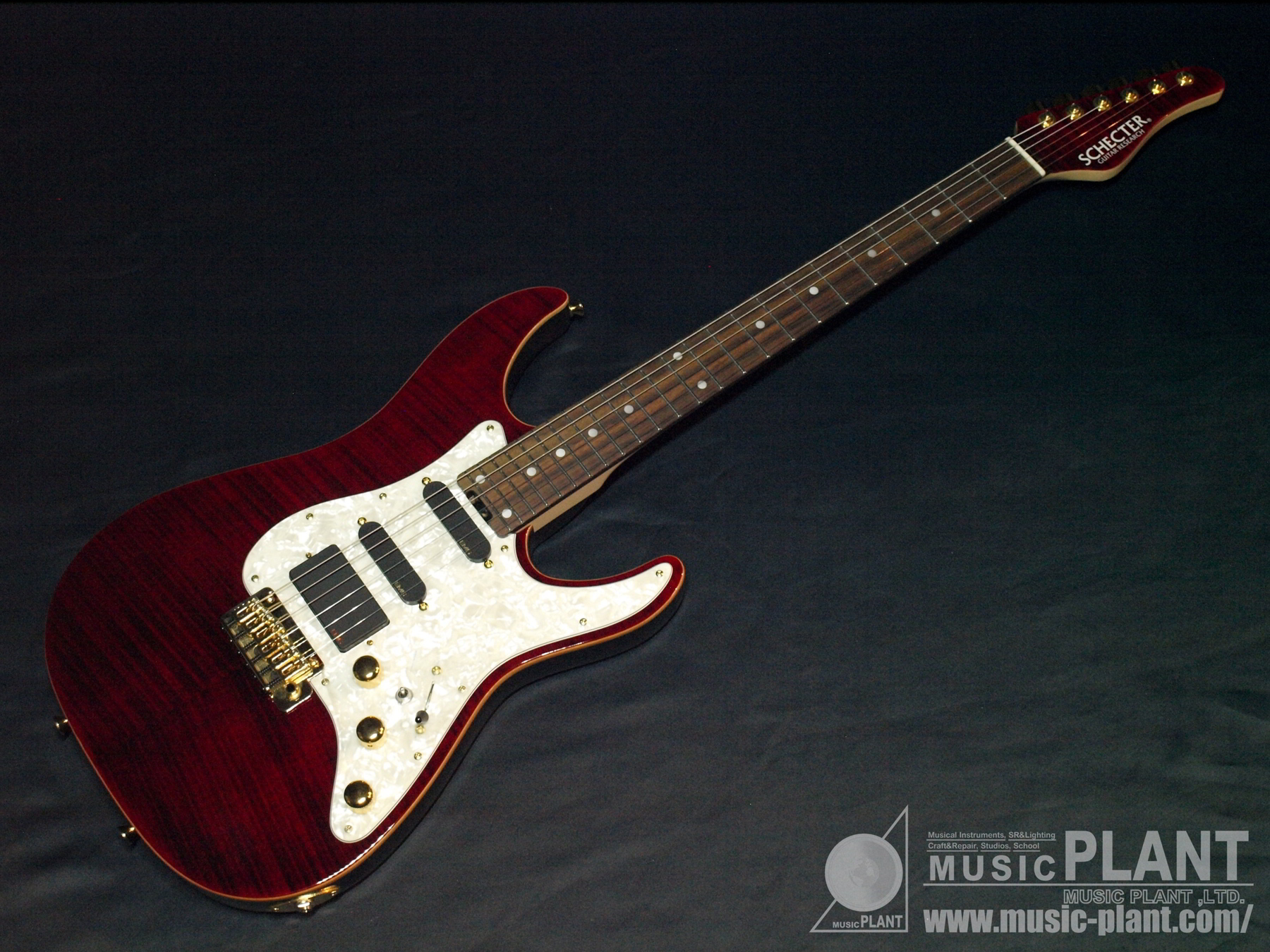 schecter sd-Ⅱ switchroo仕様