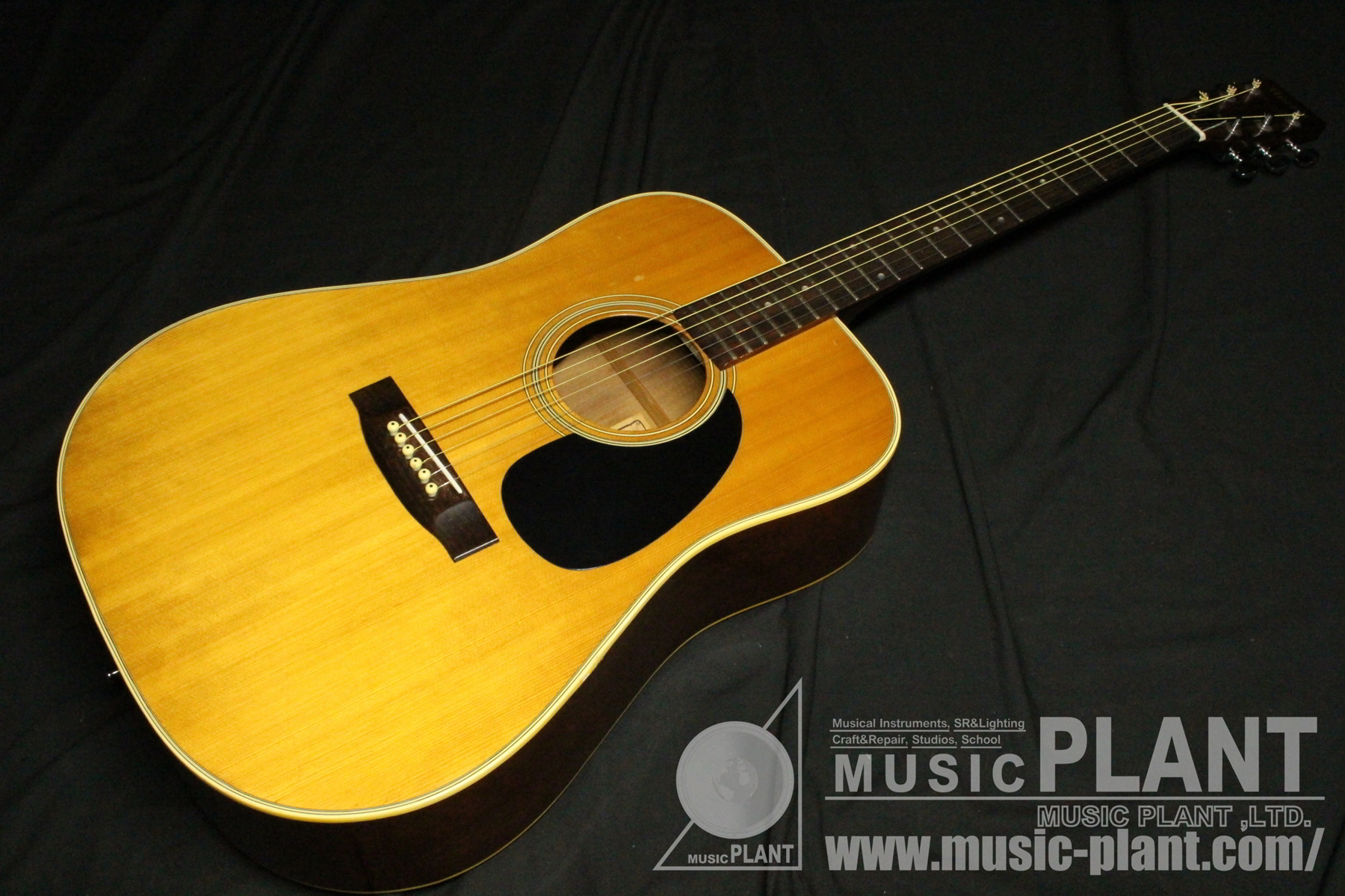 Morris アコースティックギター W-18