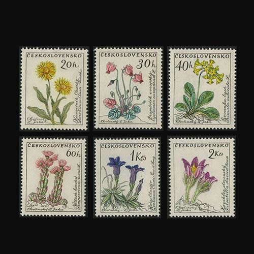 3793 外国切手 チェコスロバキア 花 シリーズ 凹版 美しいデザイン