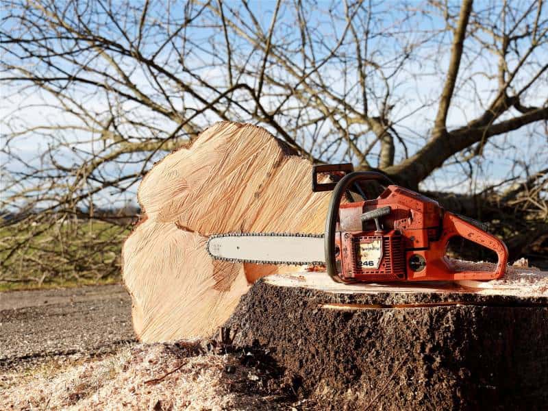 STIHL 製品 | STIHL エンジンチェンソー スチール MS200 4-19