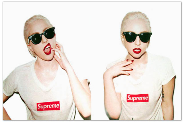 限定 Terry Richardson Lady Gaga 写真 SUPREME