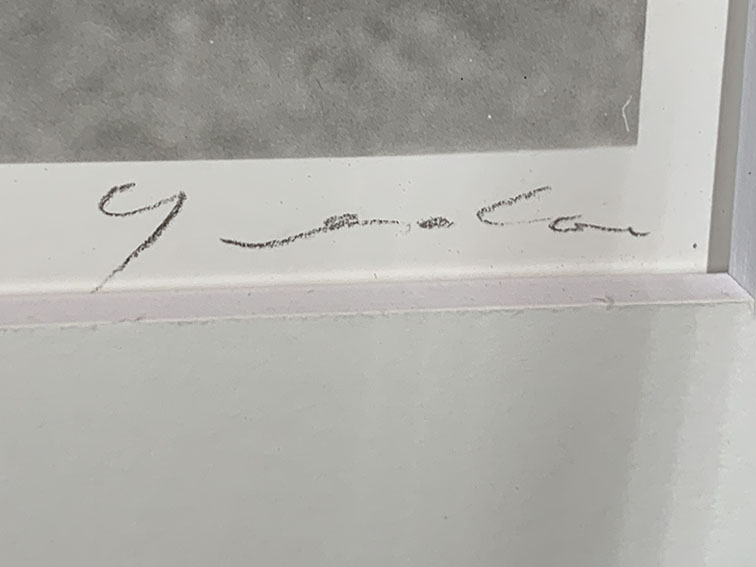 上田義彦プリント額「Portrait」 | Natsume Books