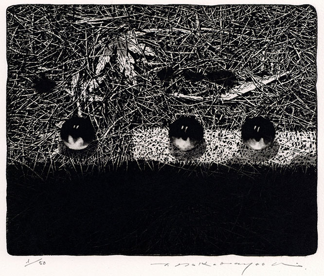 中林忠良 銅版画 転位 89'-地 中林忠良銅版画集《転移-