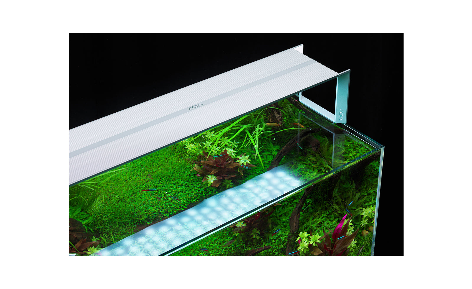 ADA Aquasky RGB Silver 60 – Nature Aquariums