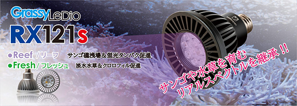 Grassy LeDio RX121s Reef シルバー - 海水魚ショップ ナチュラル