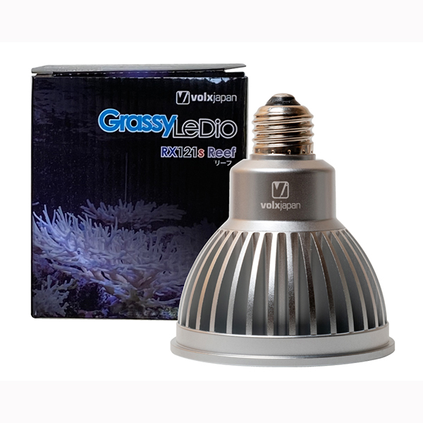 Grassy LeDio RX121s Reef シルバー - 海水魚ショップ ナチュラル