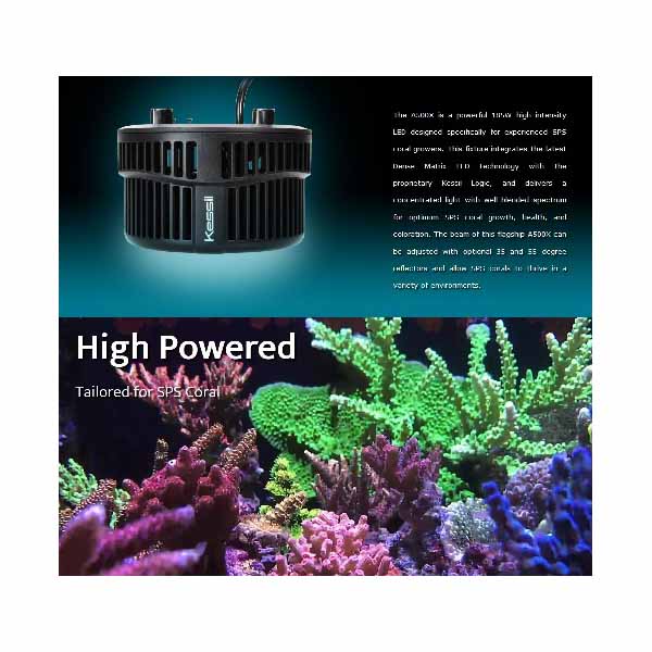 kessil A500X Tuna Blue（max 185W) - 海水魚ショップ ナチュラル