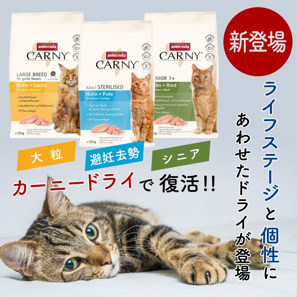 猫 腎臓 療養食animonda &HAPPY CAT KIDNEY 楽天市場】猫 腎臓ケア