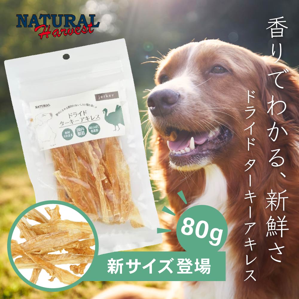 フード,テラカニス raisin2様専用 Terra Canis ドッグフード ウエッ 48缶