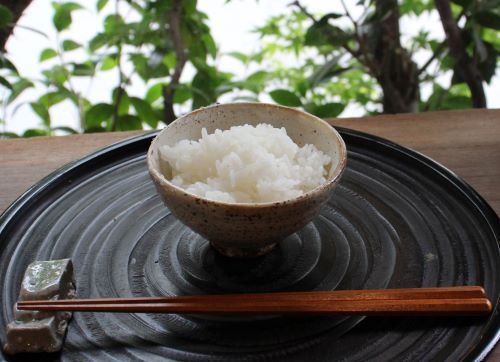 商品詳細｜備前焼、伊賀焼、織部、志野などの陶器通販｜やきもの長縄