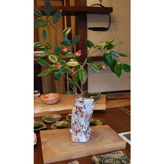 塚本治彦 紅志野花入 Beni-shino Vase by TSUKAMOTO Haruhiko 商品詳細