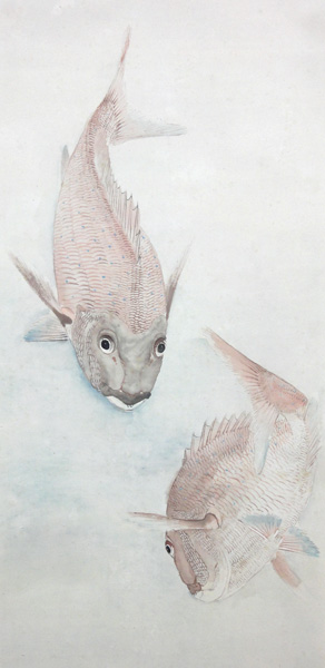 中村左洲 鯛の図 【公式通販】