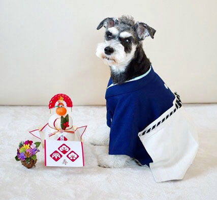 EN わんちゃんの袴の着物 男の子 2着 aitici様専用 わんちゃんの袴の