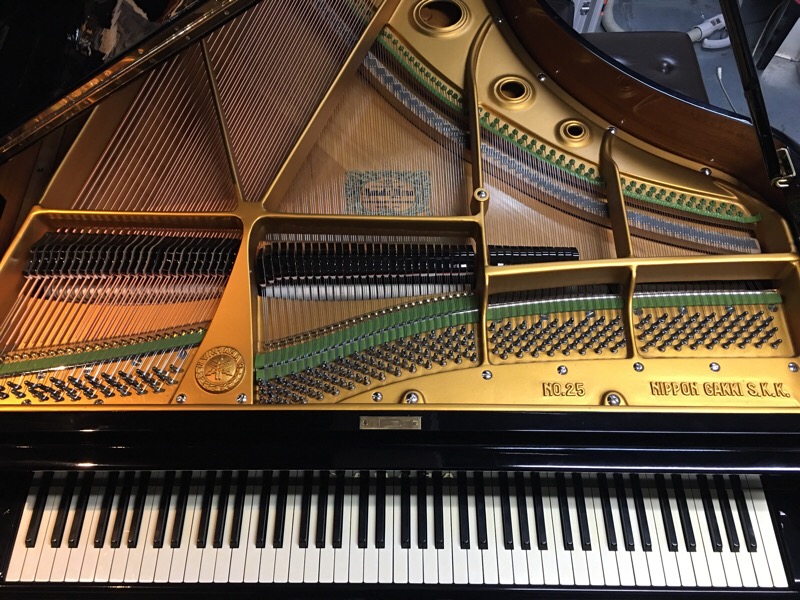 YAMAHA No.25 | 南国ピアノ芸術