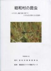 異常型】ギフチョウ（メス、飼育・福島県） M109289179 - 標本工場 直営 店