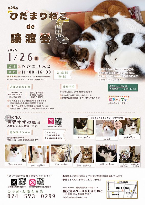 1月26日「ひだまりねこde譲渡会」を福島市で開催 猫の里親さまを募集