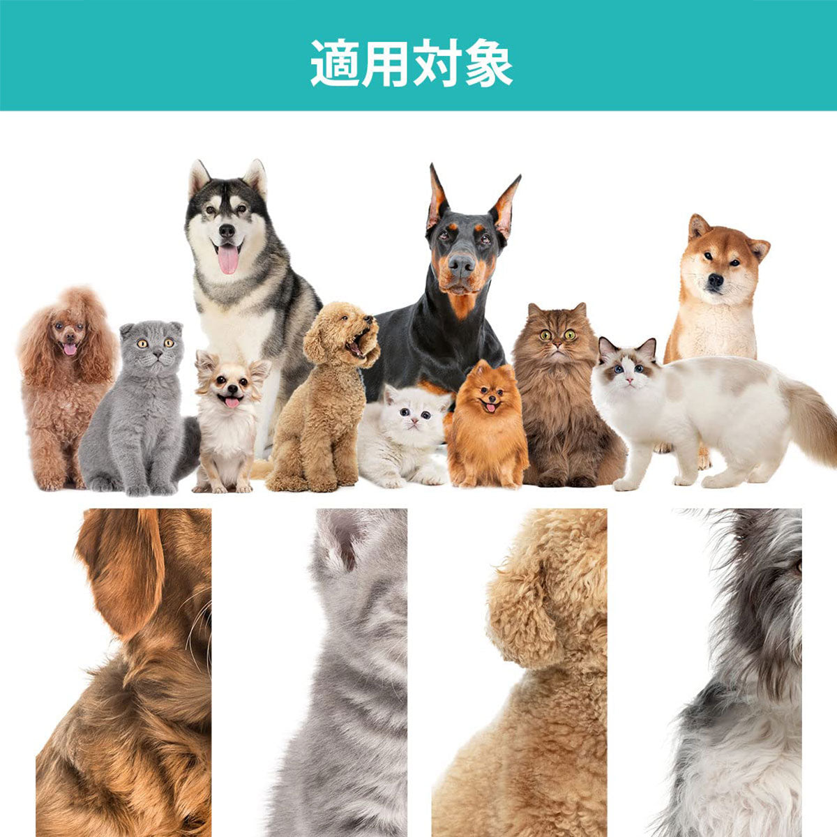 Neakasa P1 Pro ペットグルーミング 掃除機｜5in1セット 多機能 換毛期