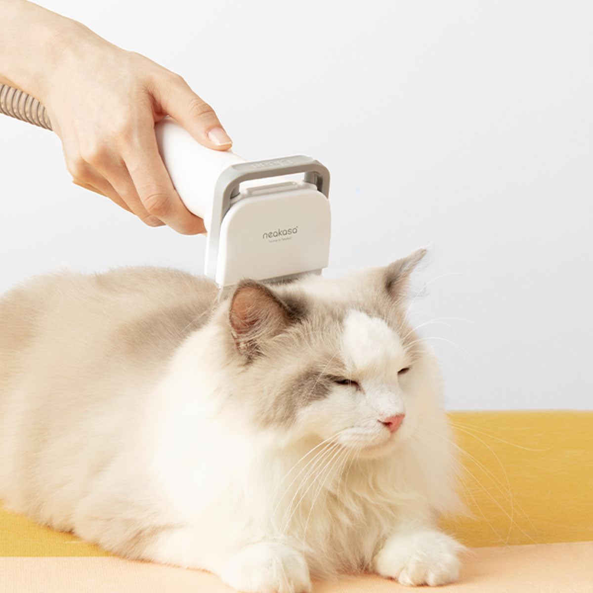Neakasa P2 Pro ペットグルーミング 掃除機｜5in1セット 多頭飼い・中