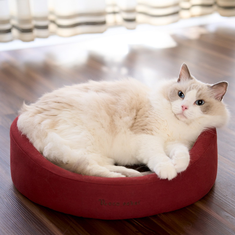 MORTEX ごねこ MORTEX ごねこ MORTEX ごねこ MORTEX ごねこ Amazon.co