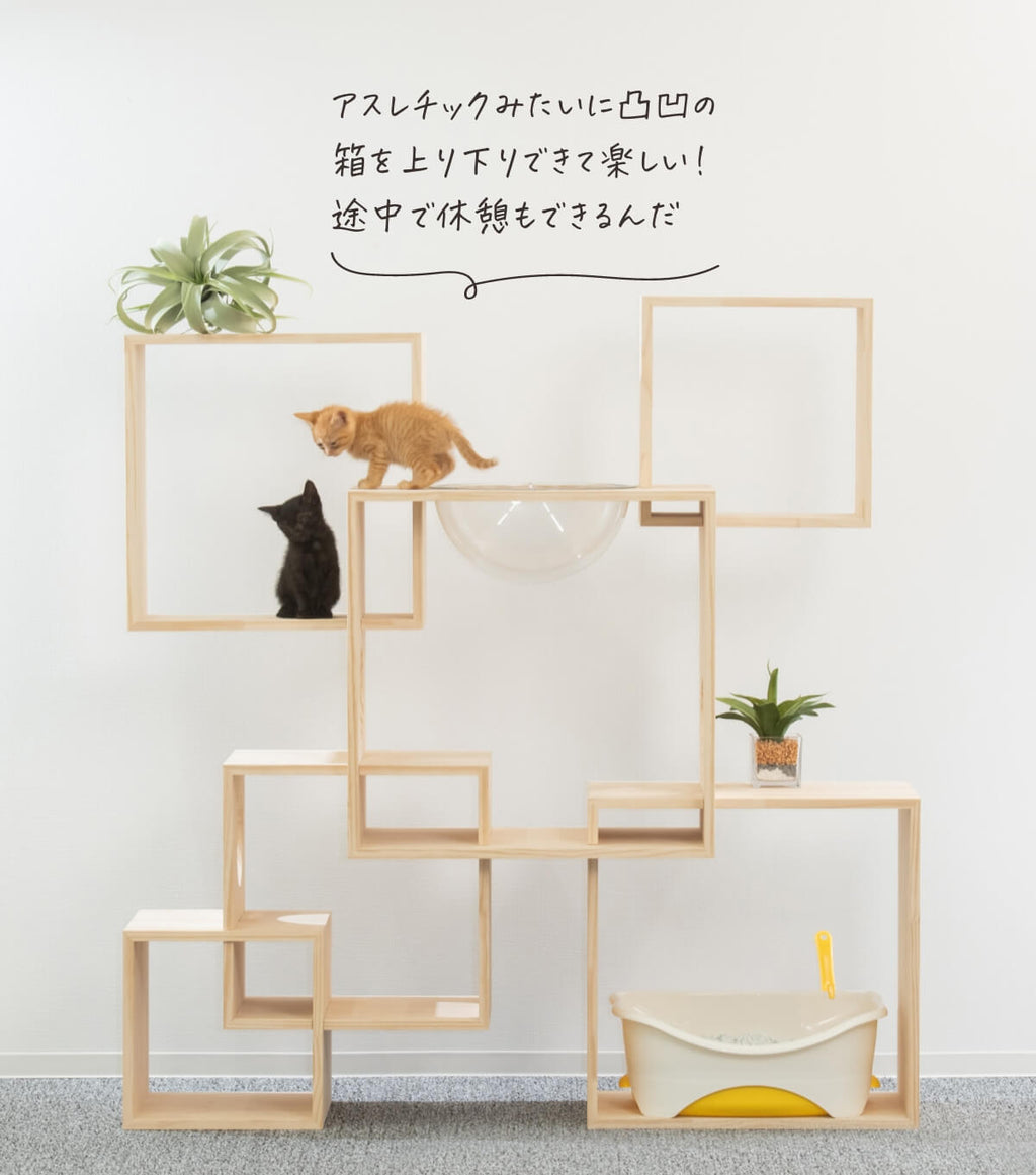 猫ハウス&キャットタワー 6BOX ｜ 猫のための木工所
