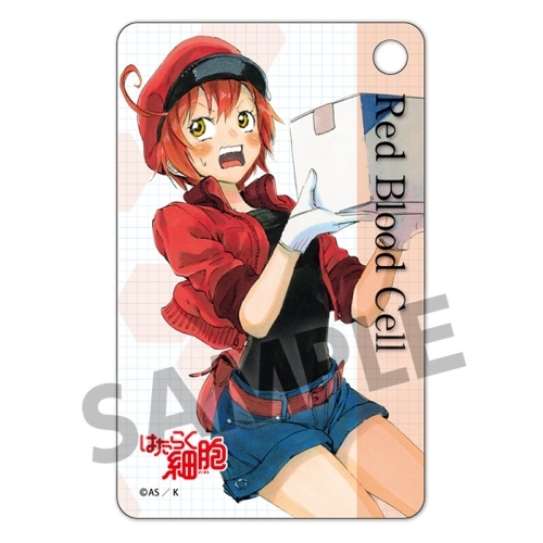 NK細胞｜ スポーツ＆アウトドア はたらく細胞 パスケース 120個