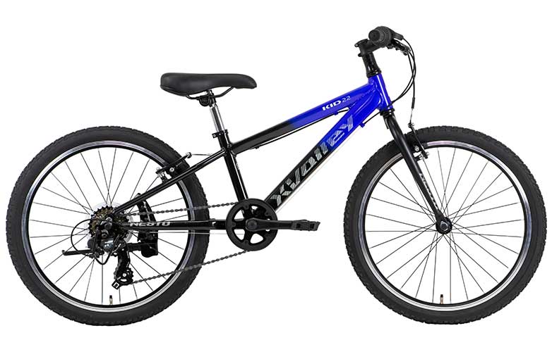 ホノロク 22インチ キッズ マウンテンバイク 自転車 手渡し希望