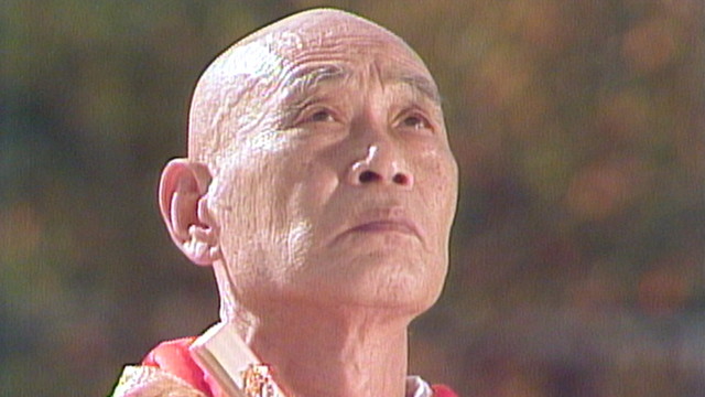 東大寺館長 清水公照作 虎香合 2025年最新】東大寺 清水公照の