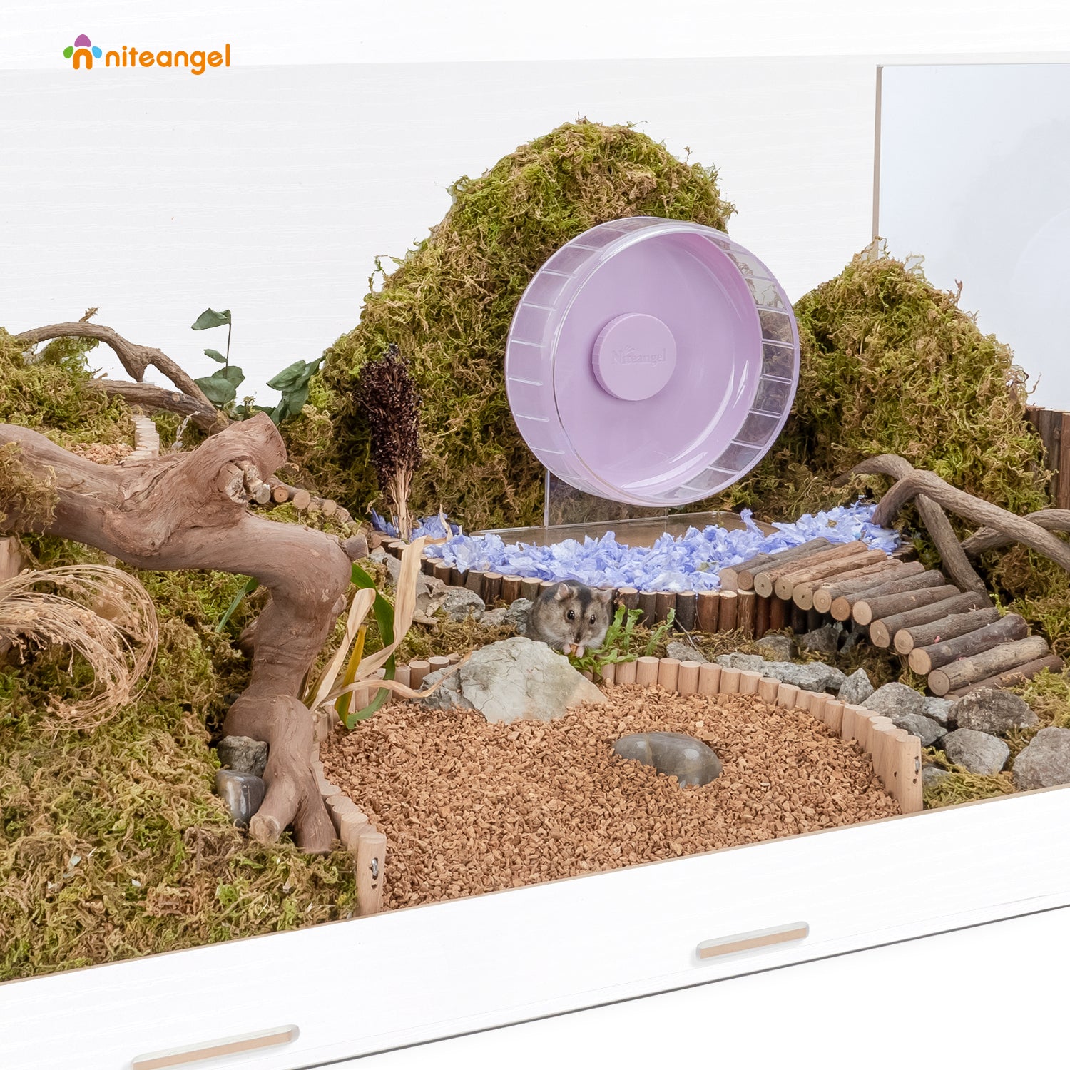 Niteangel Bigger World MDF Terrarium Aspen Poplar Wooden Enclosure