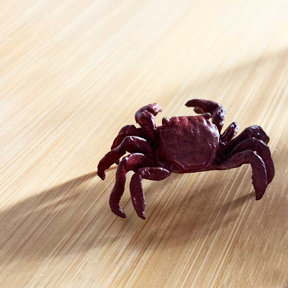 四国太平洋高知県産稀少平家蟹（蜘蛛蟹）サムライ蟹＆タコノマクラ