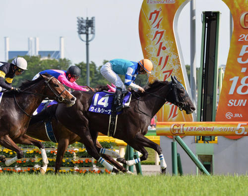 ヴィクトリアM】友道師“特別な存在”ヴィルシーナの連覇 娘ディ