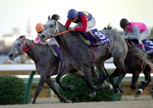 オグリキャップ伝説（90年、有馬記念） 日刊スポーツ オグリキャップ