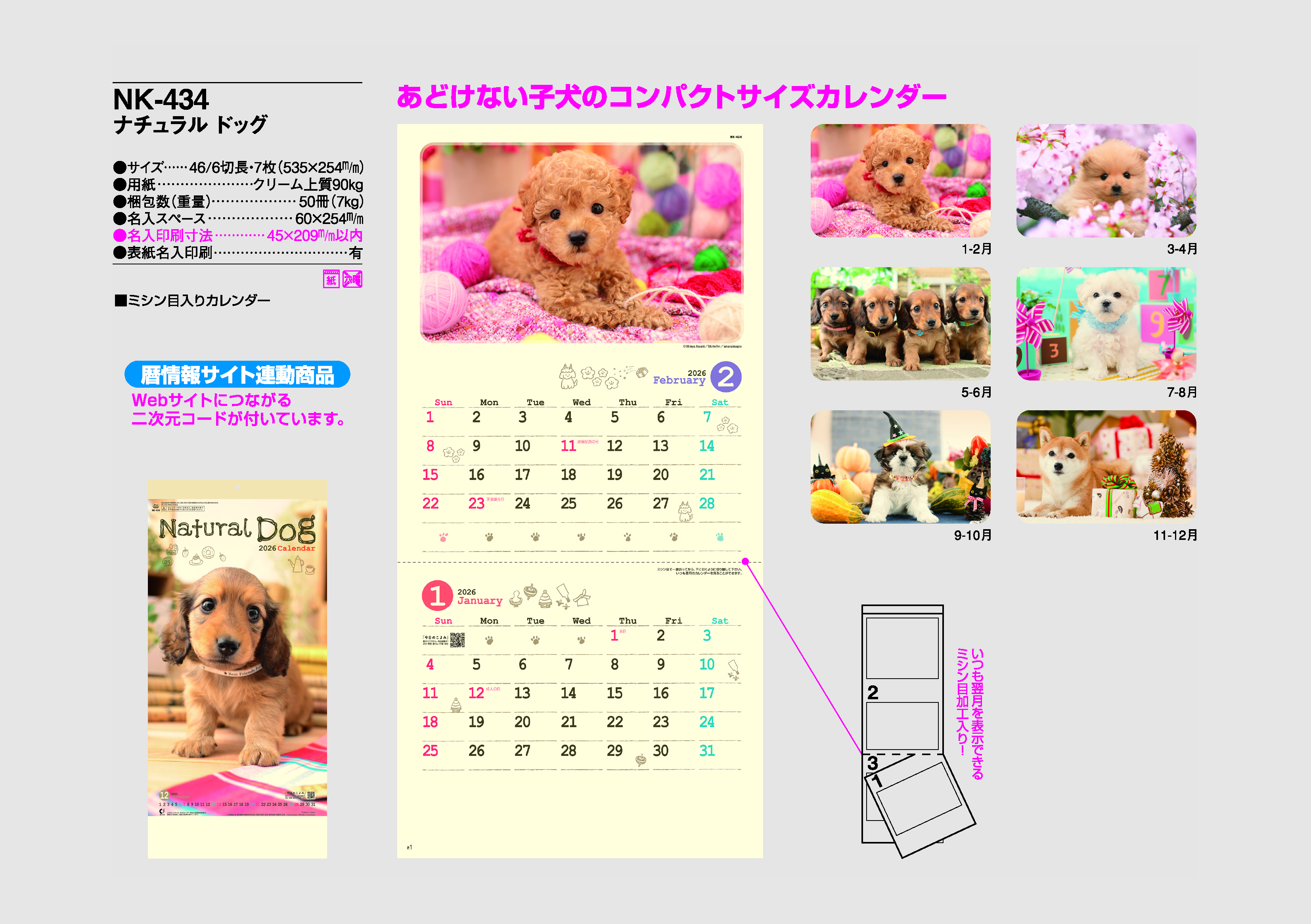 ナチュラル ドッグ｜壁掛けカレンダー（名入れ）｜カレンダー（名入れ