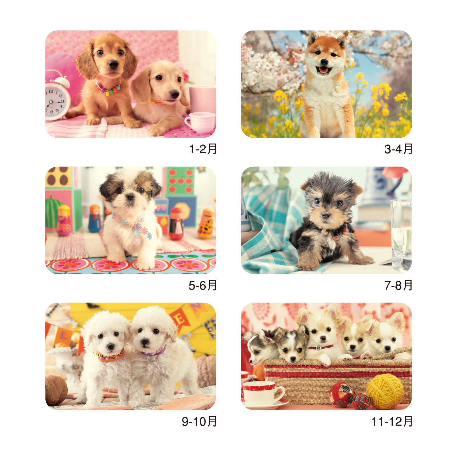 ナチュラル ドッグ｜壁掛けカレンダー（名入れ）｜カレンダー（名入れ