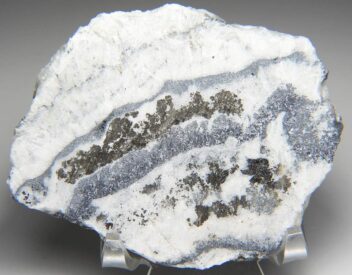 0c724d9d4835a03cef28d2d6971926