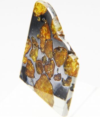 5e01fa2456927748bb0f4748378681