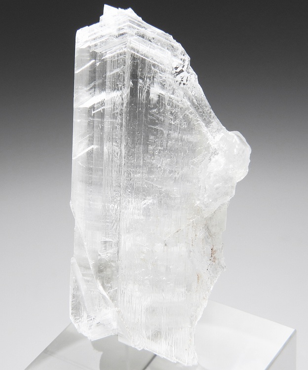 セレナイト 530 メキシコ - 鉱物標本・隕石標本販売のWeb専門店 エヌズ