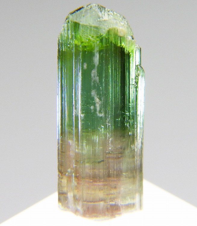 鉱物標本 トルマリン （リチア電気石） リチア電気石 578 ブラジル