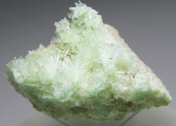 セレナイト 505(蛍光/燐光/キャビネット) ポーランド - 鉱物標本・隕石