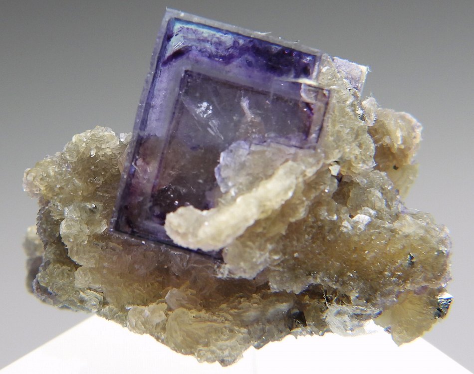 フローライト FB297 ヤオガンシャン - 鉱物標本・隕石標本販売のWeb