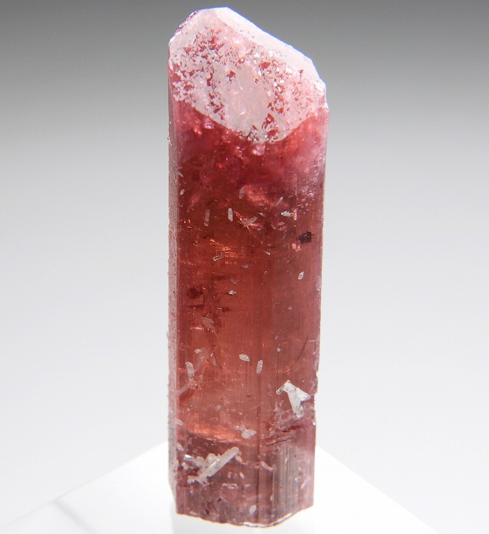 トルマリン の商品一覧- 鉱物標本・隕石標本販売のWeb専門店 エヌズ