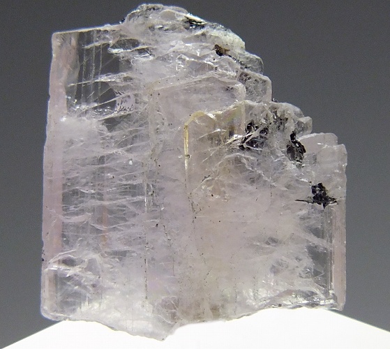 マンガン斧石 166(蛍光/カラーチェンジ) タンザニア - 鉱物標本・隕石