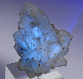 4371d1297e12540933766de7209fc2