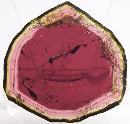 リディコート電気石 459 マダガスカル - 鉱物標本・隕石標本販売のWeb