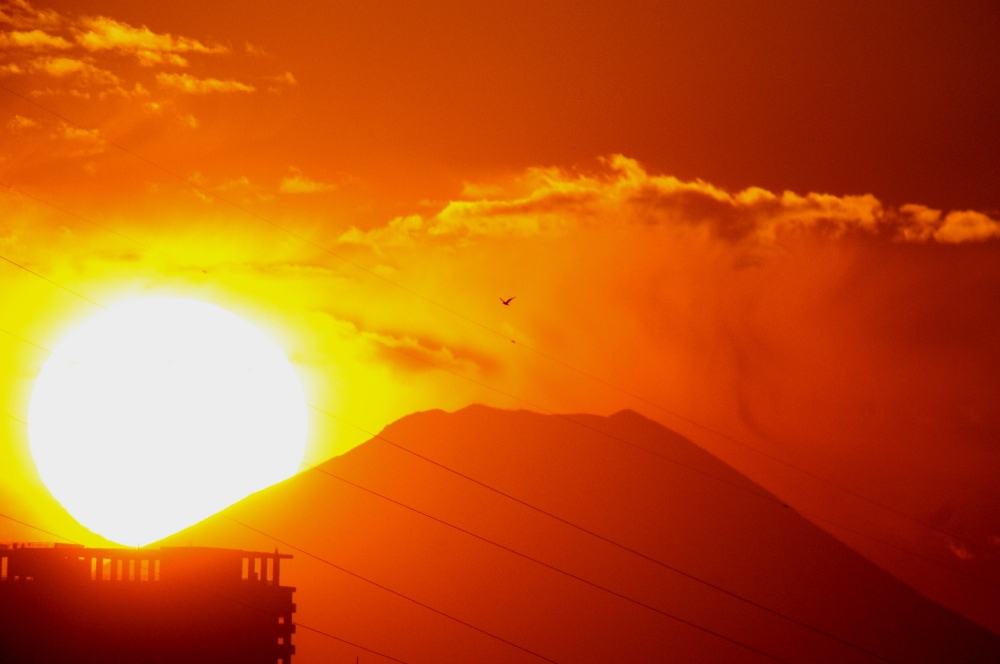葛西の四季折々（51）「ダイヤモンド富士」 | 江戸川総合人生大学