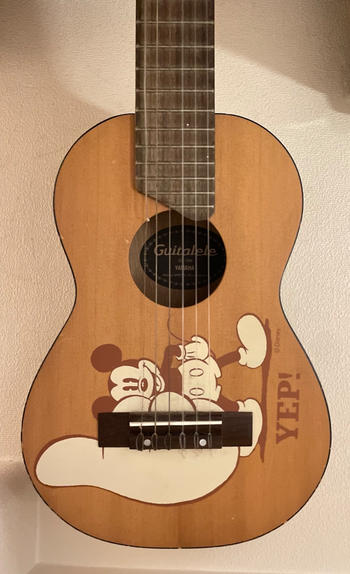 MG-80x hide model ヒデ モデル フェルナンデス Burny モッキンバード